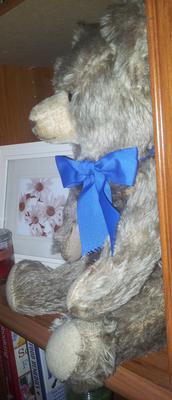 Side view of teddy bear with blue bear