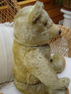 side view of teddy bear