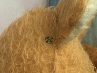 Clips behind ears of teddy bear Clips behind ears of teddy bear