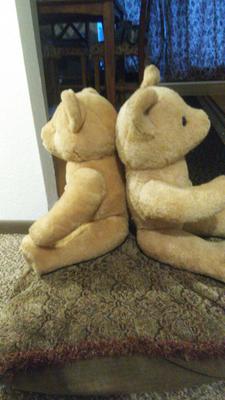 Are these Steiff bears? Are these Steiff bears?