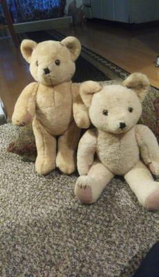 Two lovely teddy bears
