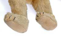 Teddy Bear feet