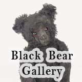 Black Bear Gallery