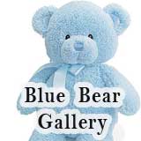 Blue Bear Gallery