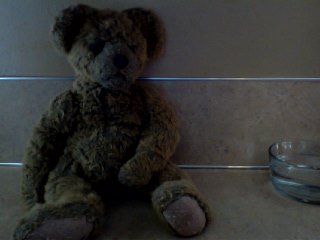 Brown Jointed bear Brown Jointed bear