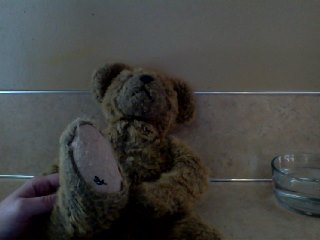 Foot logo? Foot logo?