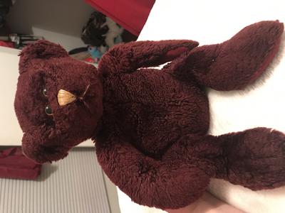 Burgundy Teddy Bear