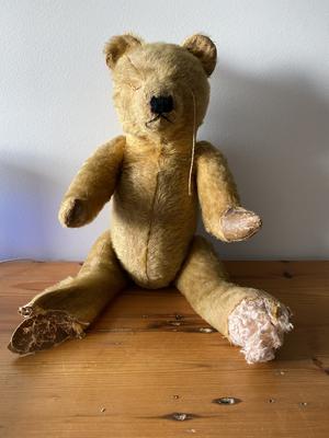 Australian teddy Bear