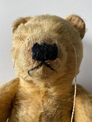 face of Australian teddy Bear