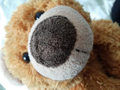 Big Nose on Boy teddy bear