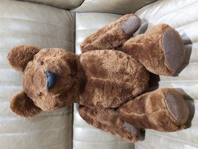 Dark brown growler bear Dark brown growler bear