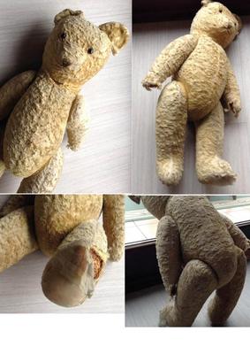 Belgian Teddy Bear Belgian Teddy Bear