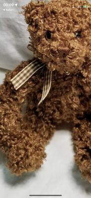 Necktie was not silky and I believe was loser to that of the Maxwell bear and previous picture. But similar to this one too
