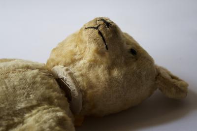 French Bear laying down French Bear laying down