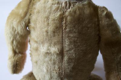 French Bear tummy French Bear tummy