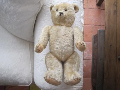 French Teddy Bear