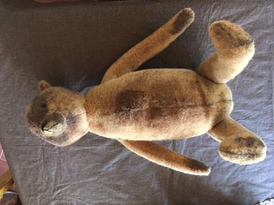 teddy bear with long body