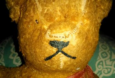 old teddy bear face
