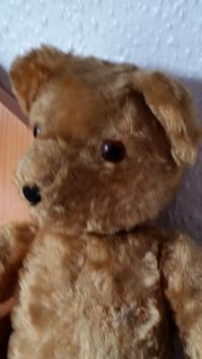 Handsome chap Handsome chap