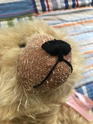 teddy Bear Snout