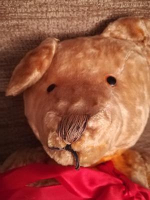 Humped back teddy bear face