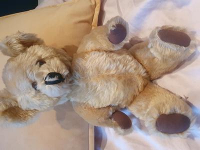 Lefray musical Teddy bear Lefray musical Teddy bear