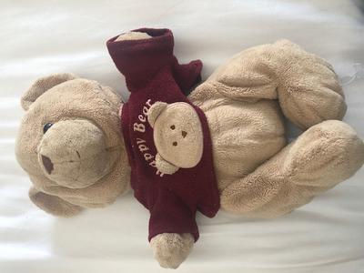 light coloured teddy