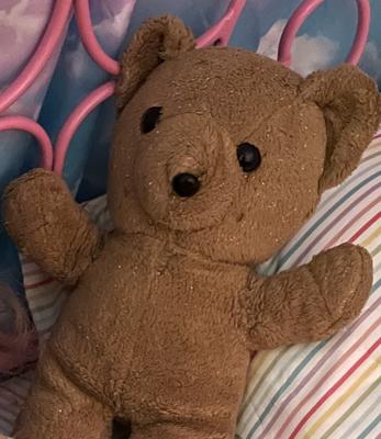 Looking for info on 90s Sparkly Teddy Bear
