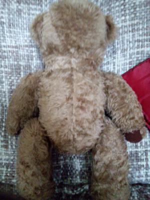 Long nosed teddy bar back view