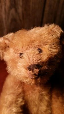 Face of  large teddy bear