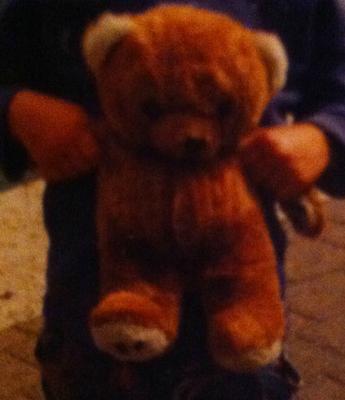 1980's bear 1980's bear