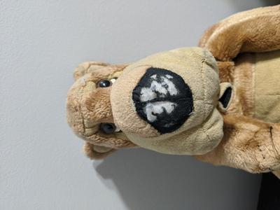 teddy bear with big black nose