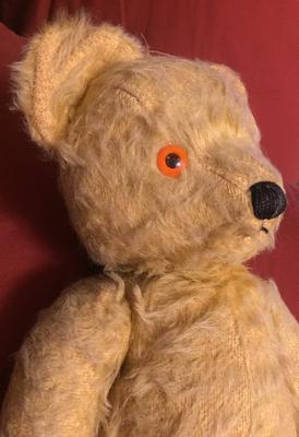 Musical teddy Bear close up face