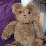 Odd Teddy Bear