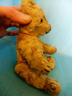 side view of old teddy bear