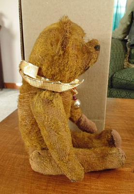 side view of teddy bear