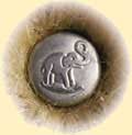 Steiff Elephant button