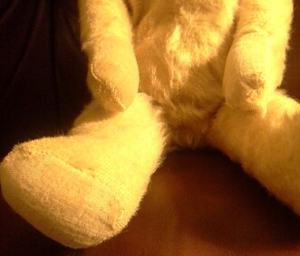 Hands and paws Hands and paws