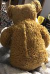 back view of teddy bear