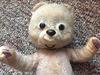 teddy bear with big eyes