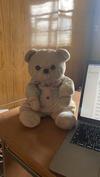 Pui pui teddybear now in 2021