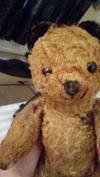 my ted