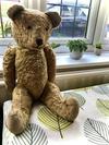 Lovely old, jointed, excelsior stuffed bear