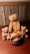 Teddy bear collection