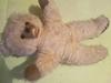 Two tone teddy bear
