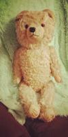 Old German teddy bear