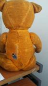 Back view Musical Teddy Bear