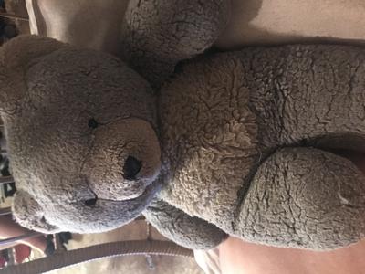 Mr Grey teddy bear Mr Grey teddy bear