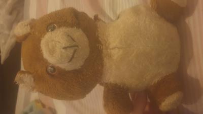 brown teddy bear brown teddy bear