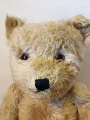 teddy bear face